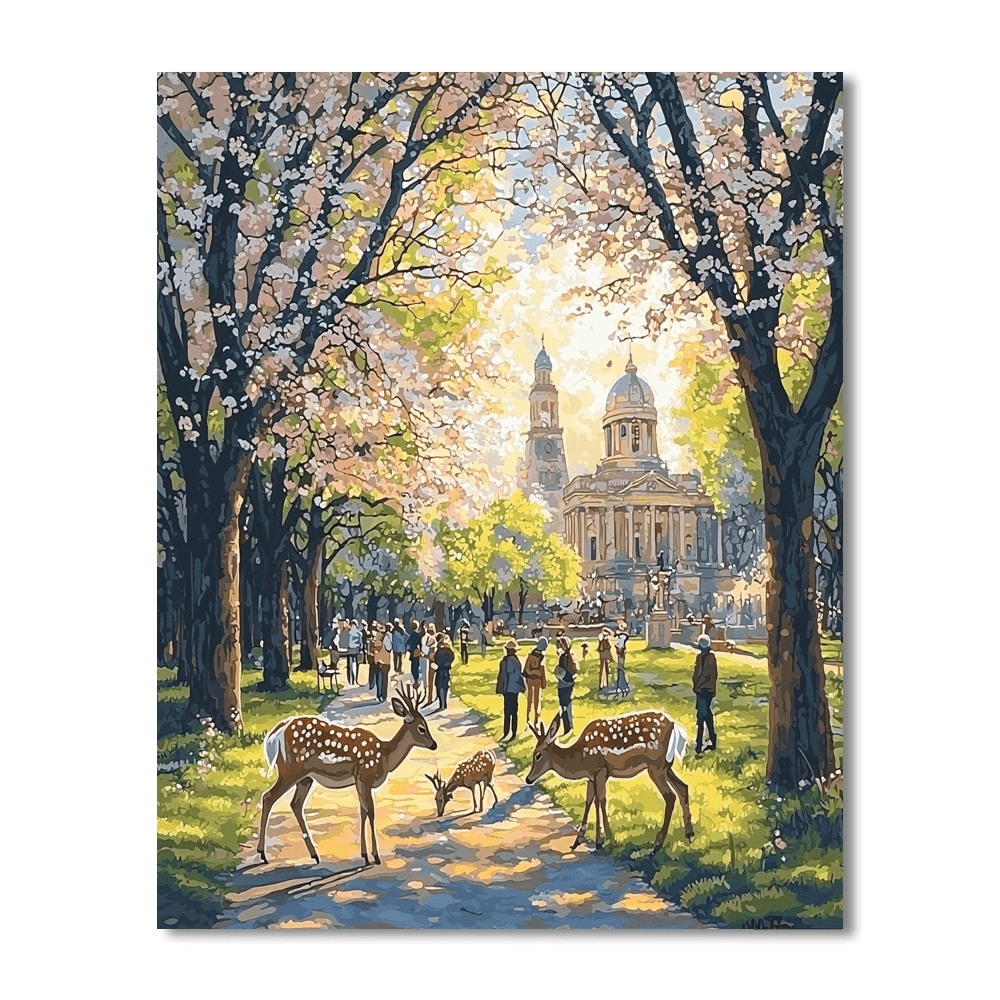 Nara Park Paint By Numbers