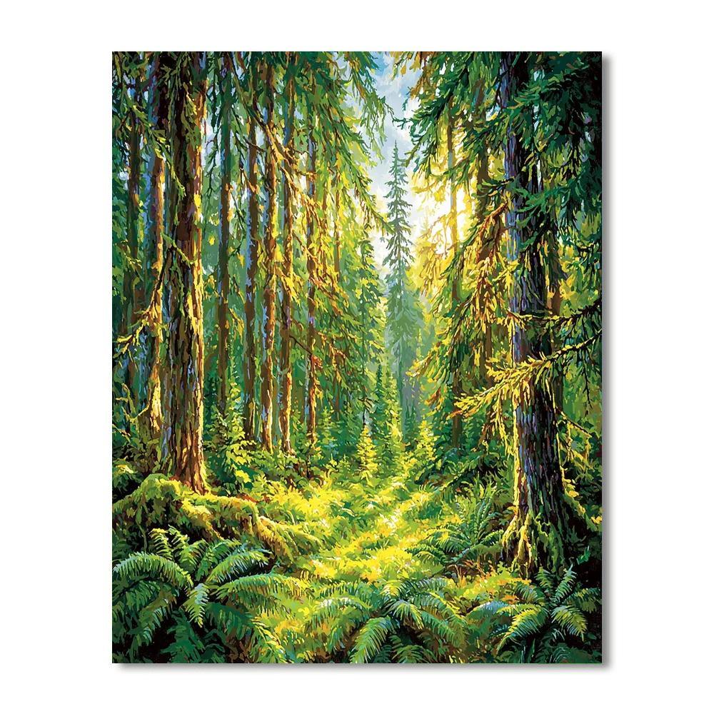 Hoh Rainforest - United States Numbered Painting Kits