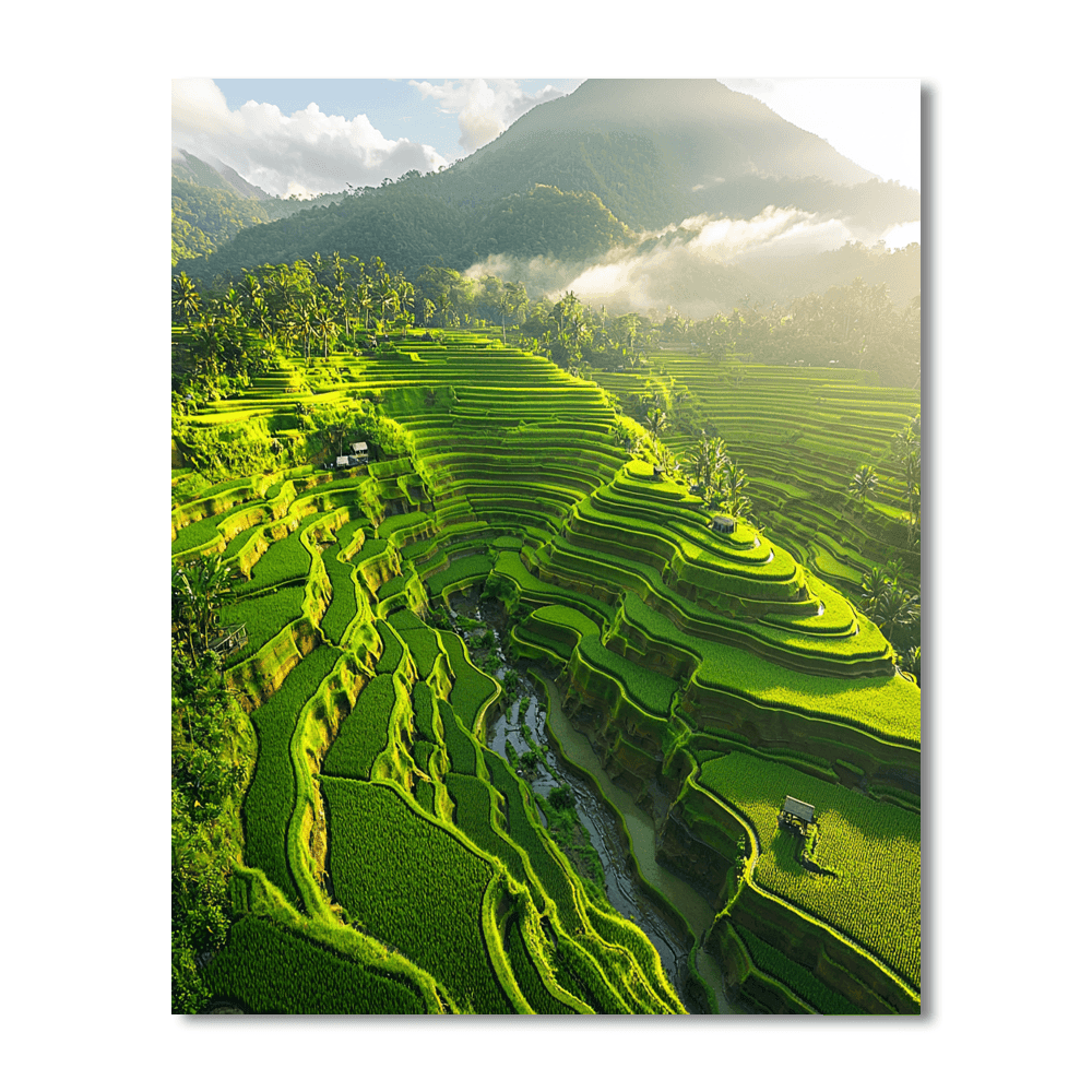 Banaue Rice Terraces Paint By Numbers