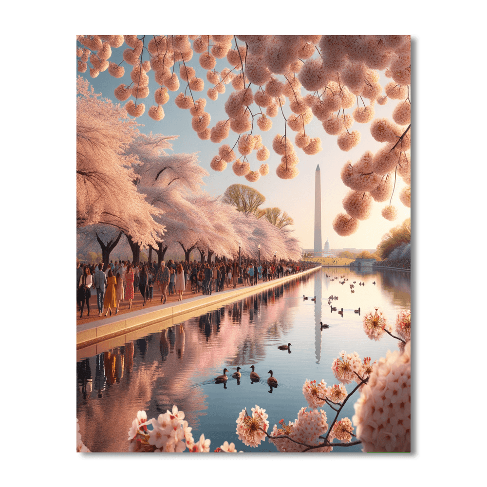 Cherry Blossom Festival - Washington D.c., Usa Paint By Number