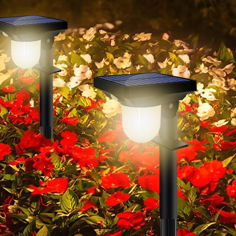 Solar Powered Pathway Light – Eco-Friendly Outdoor Lighting-Solar Wind LED Chime