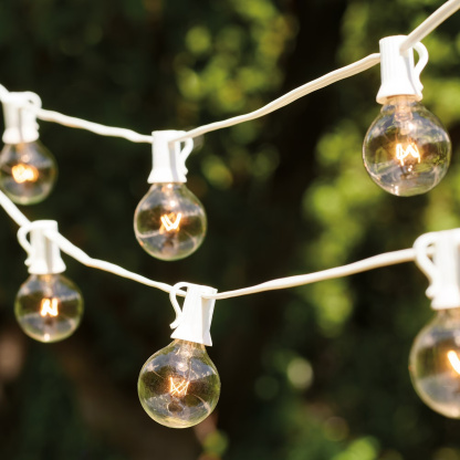 20 Light Outdoor Indoor 20 Feet Plug in Globe Bulb String Light