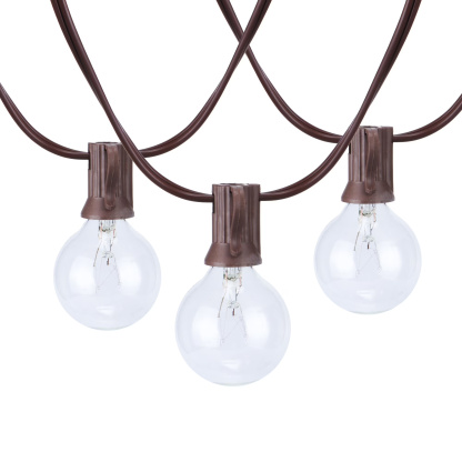 20 Light Outdoor Indoor 20 Feet Plug in Globe Bulb String Light