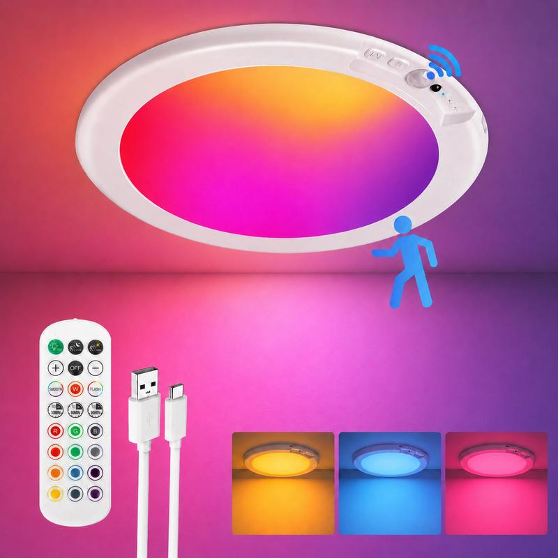 Rechargeable Motion Sensor Ceiling Light With Remote
