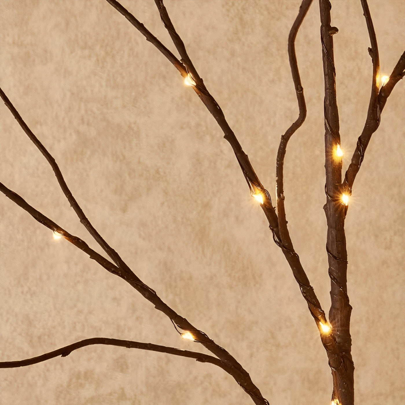 Illuminated Birch Branch LED Lights
