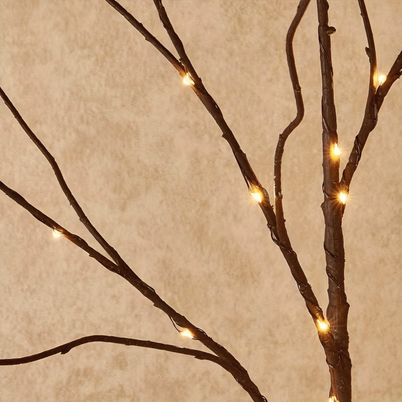 Illuminated Birch Branch LED Lights