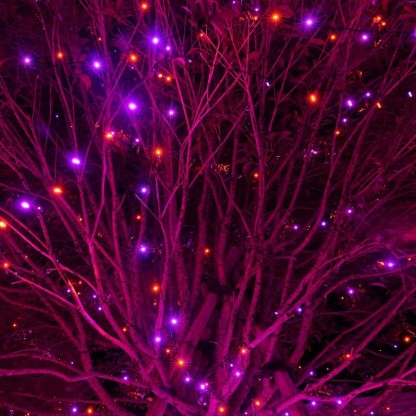 300 LED Smart Halloween Connectable Waterproof String Lights