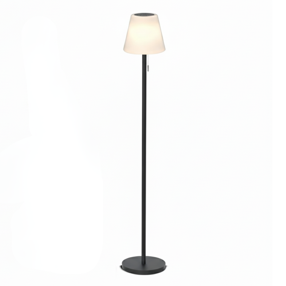 Solar Outdoor Floor Lamp With Cordless Rechargeable Design And Light Sensor