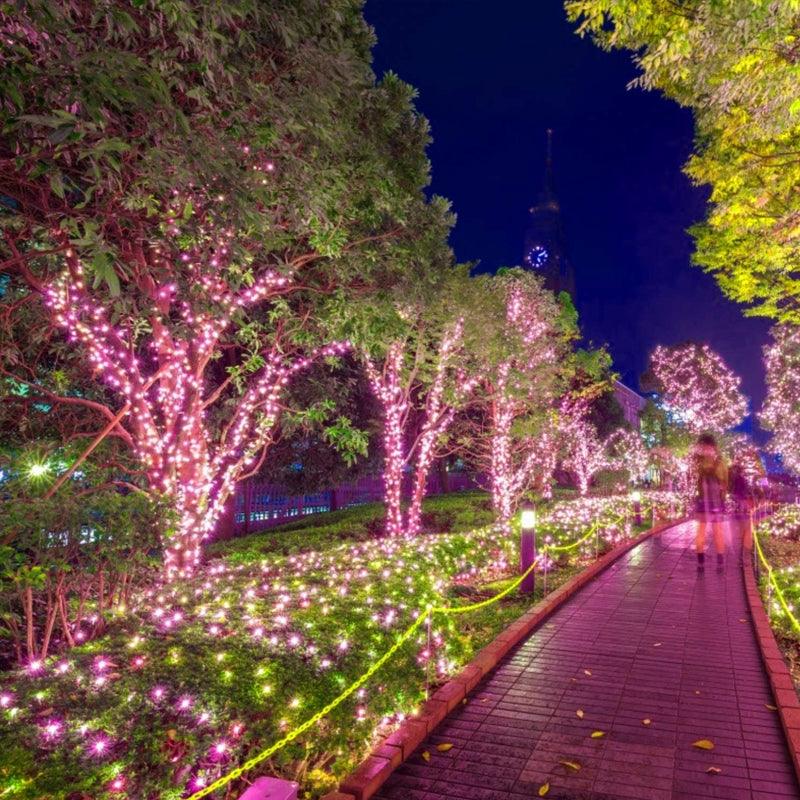 Outdoor Solar String Lights – Waterproof Solar Garden Lights-Solar Wind LED Chime