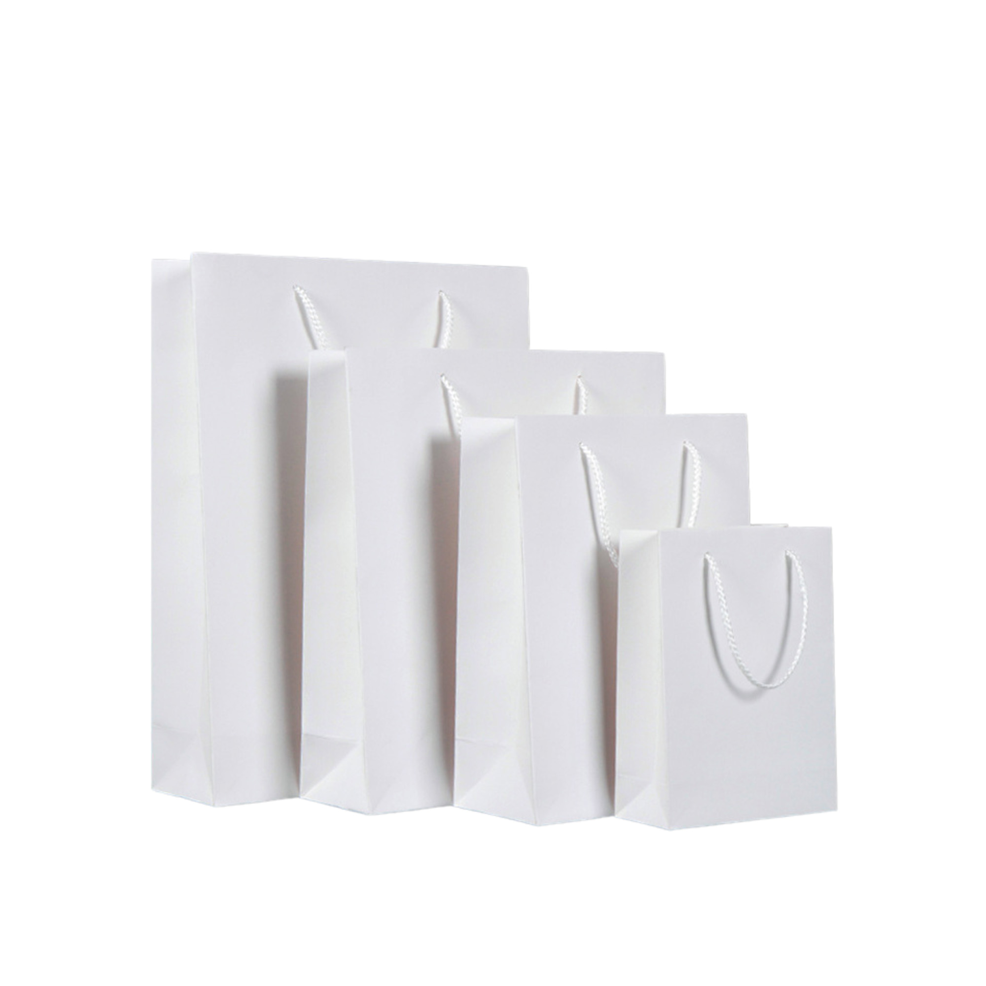 Custom Kraft Paper Gift Bag