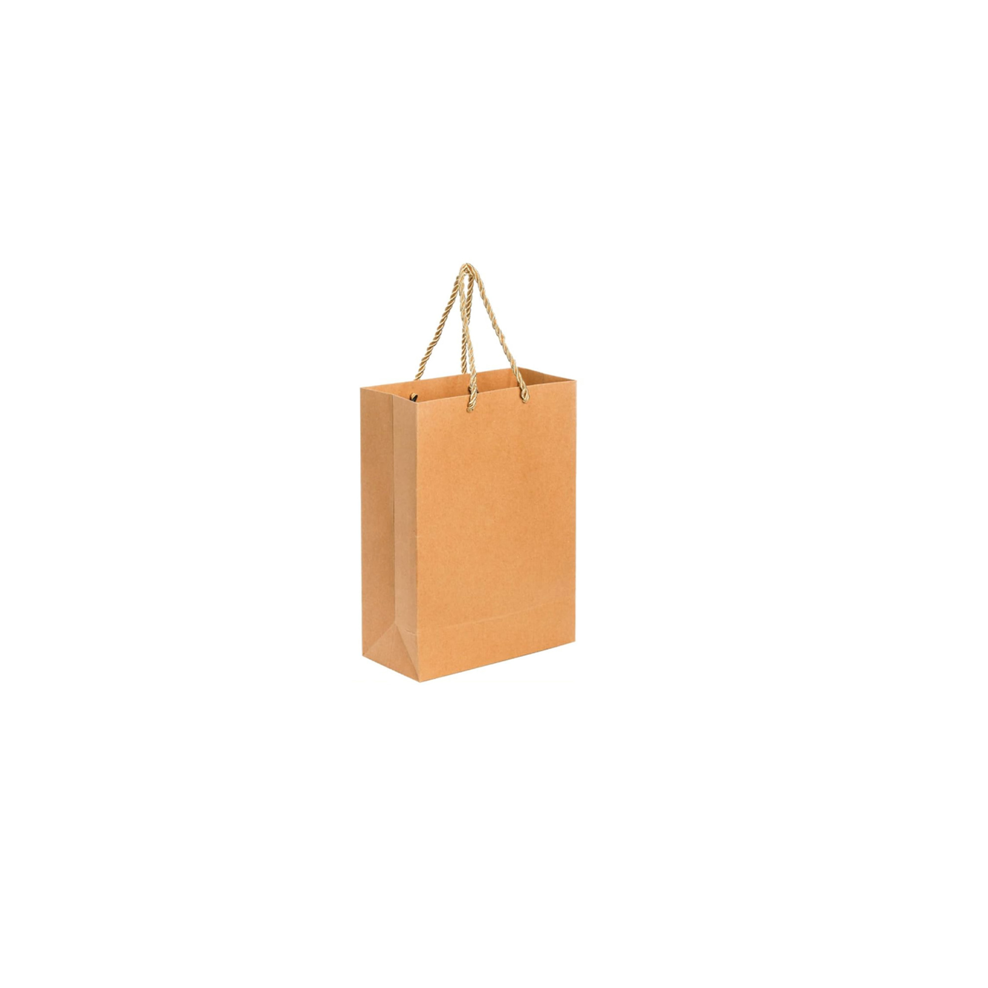Custom Kraft Paper Gift Bags