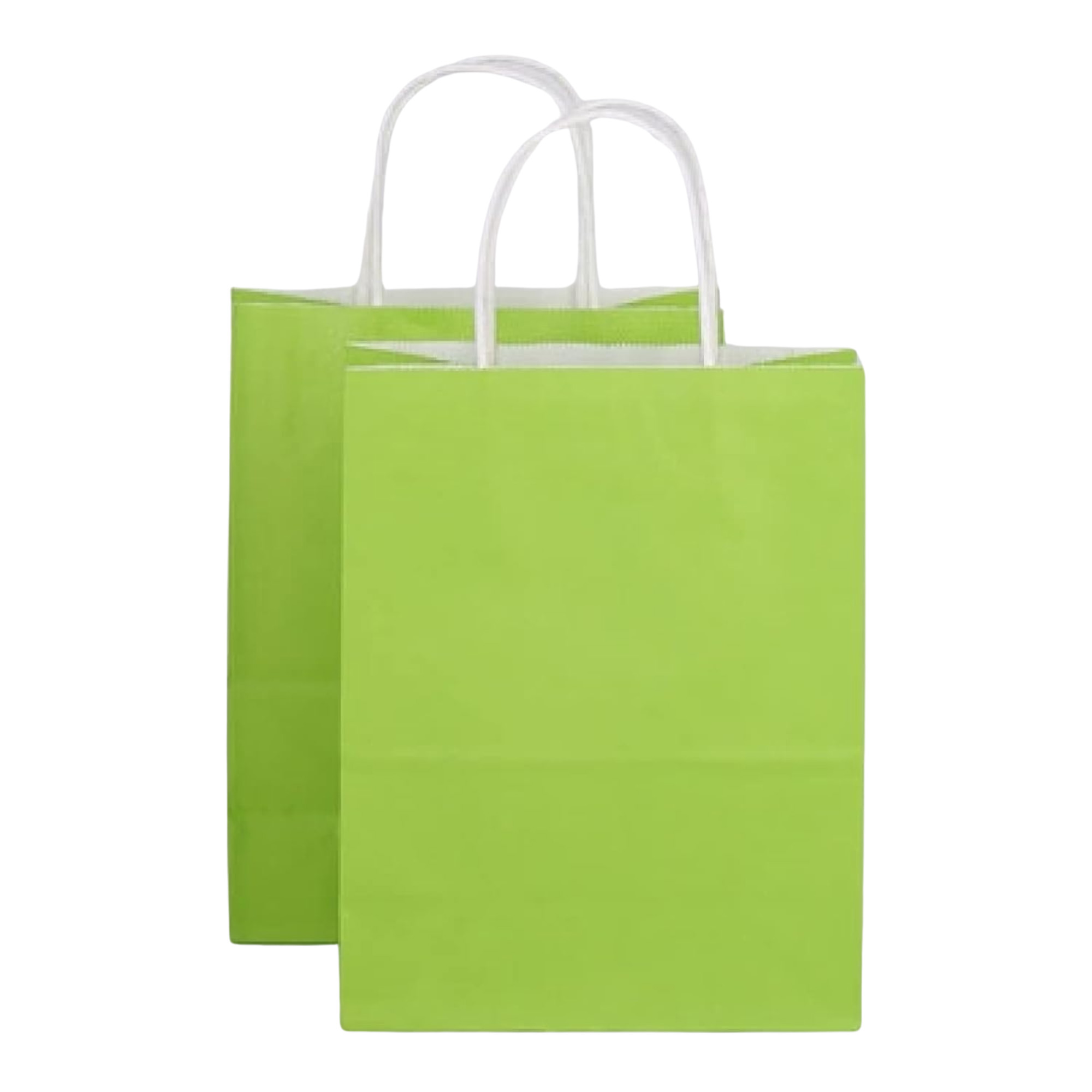 Custom Kraft Gift Shopping Bag