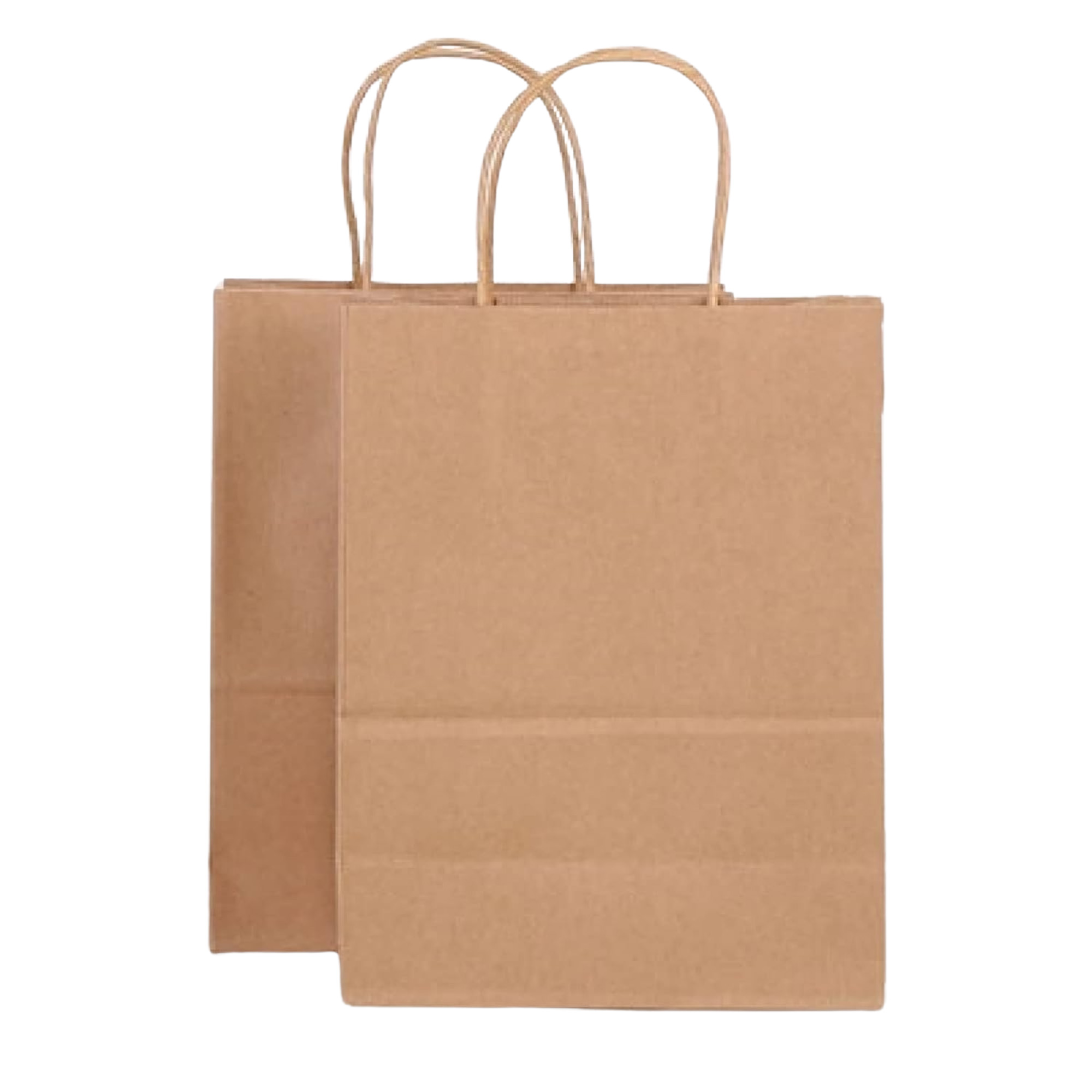 Custom Kraft Gift Shopping Bag