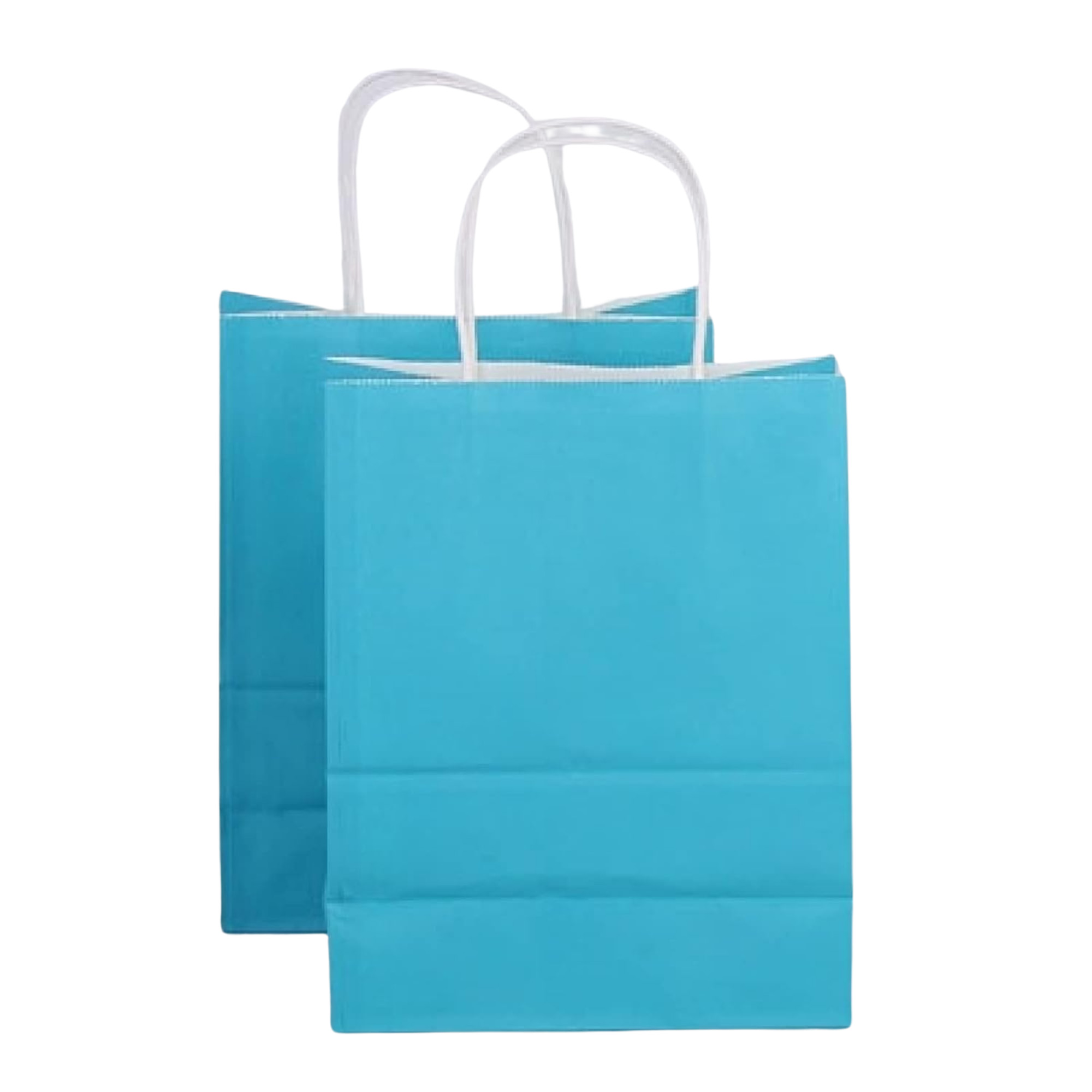 Custom Kraft Gift Shopping Bag