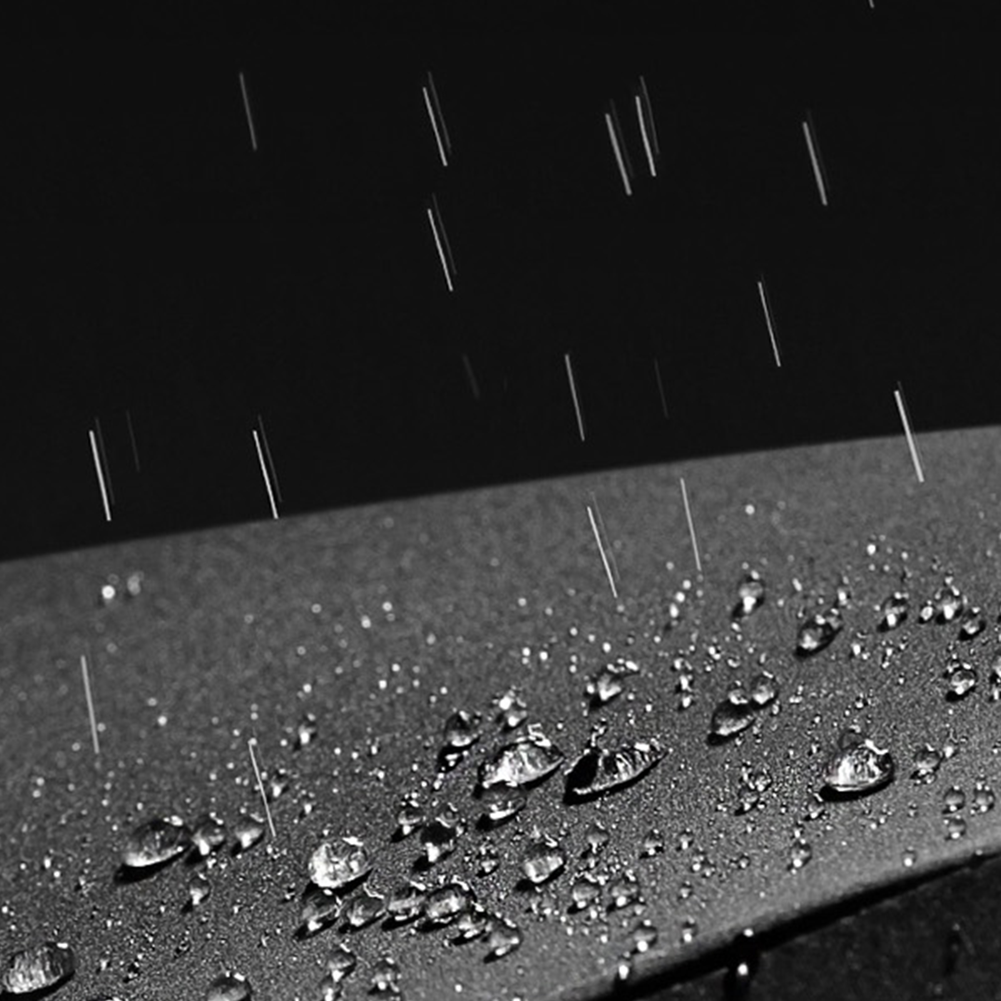 Custom  Auto Open Windproof Umbrella