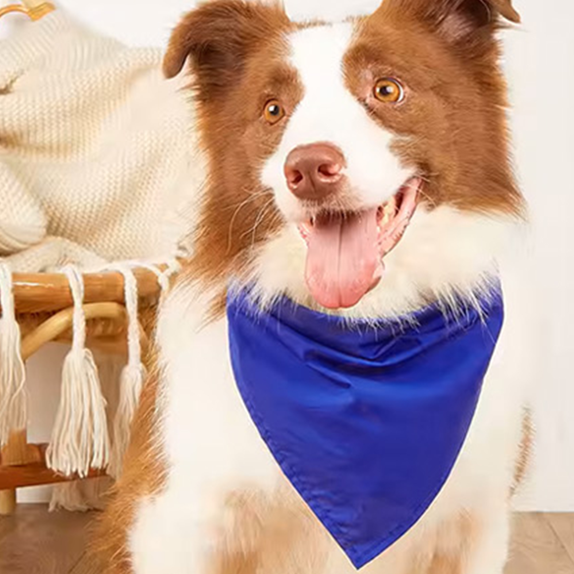 Custom Cotton Triangle Pet Bandana