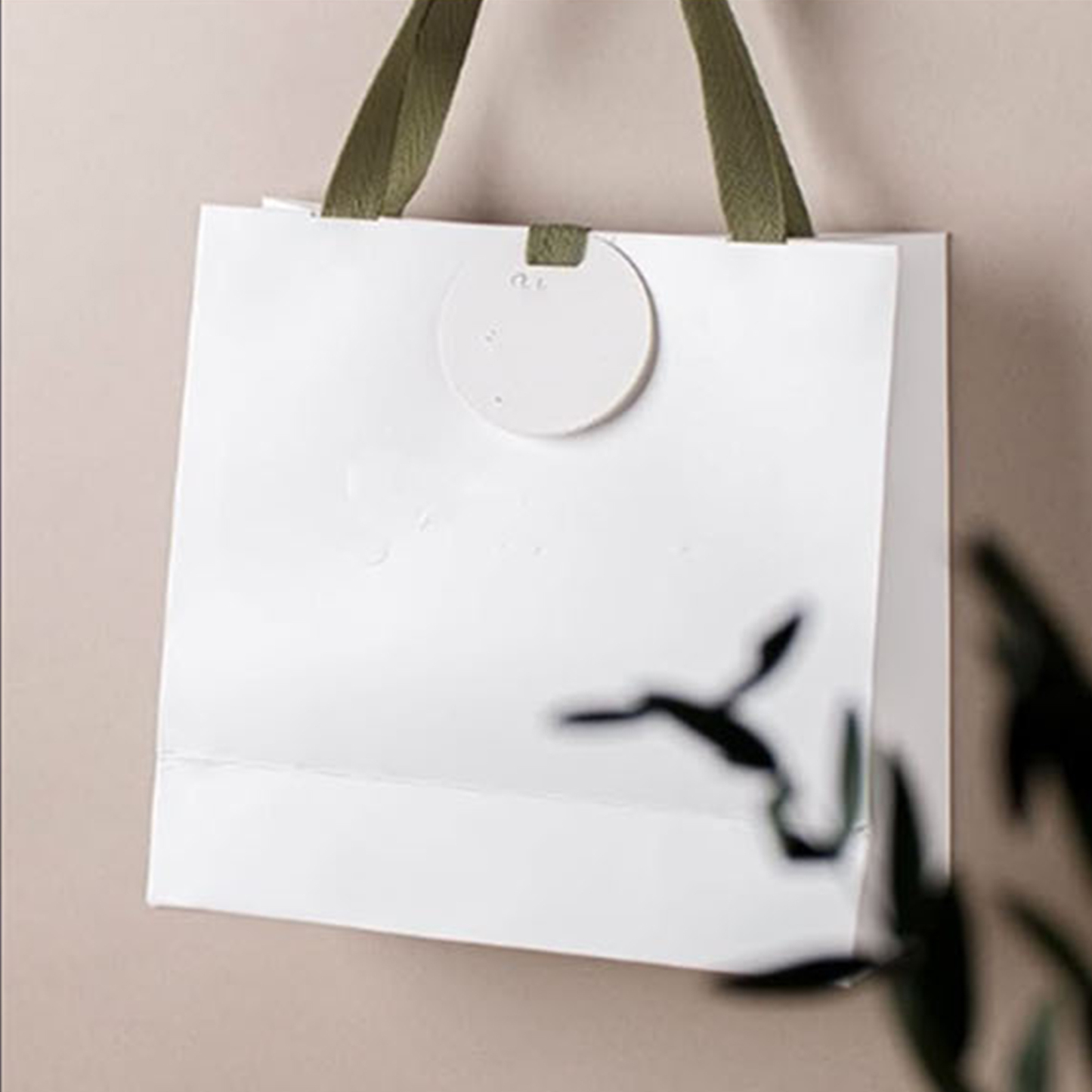 Custom Luxury Cardboard Gift Bag