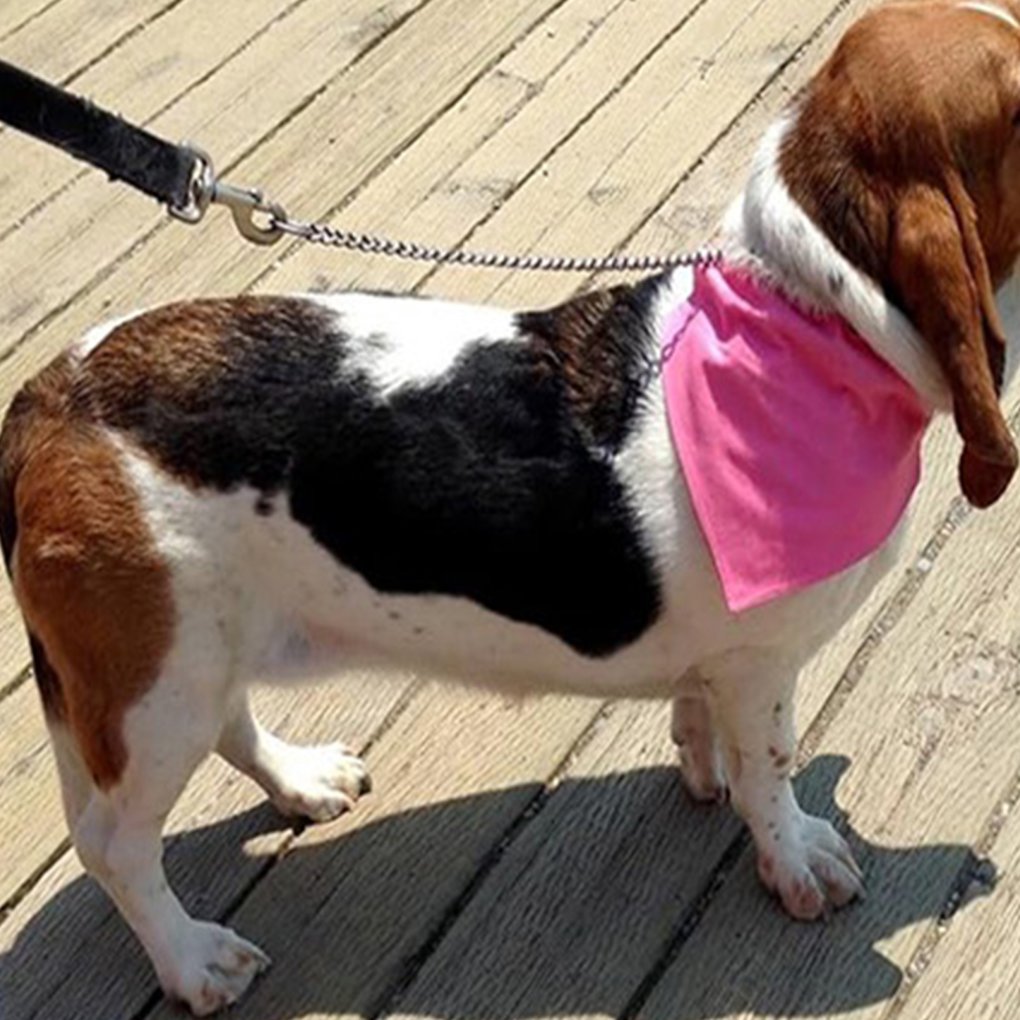 Custom Cotton Triangle Pet Bandana