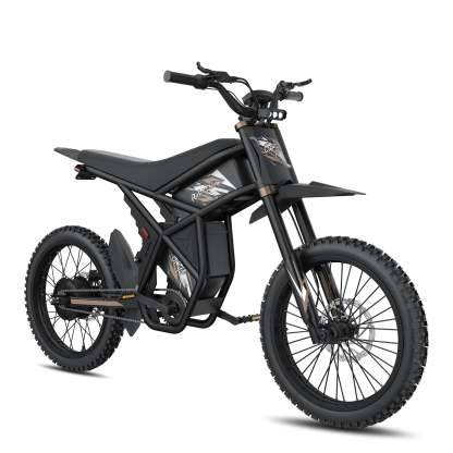 GT73 /PRO Electric Motorbike