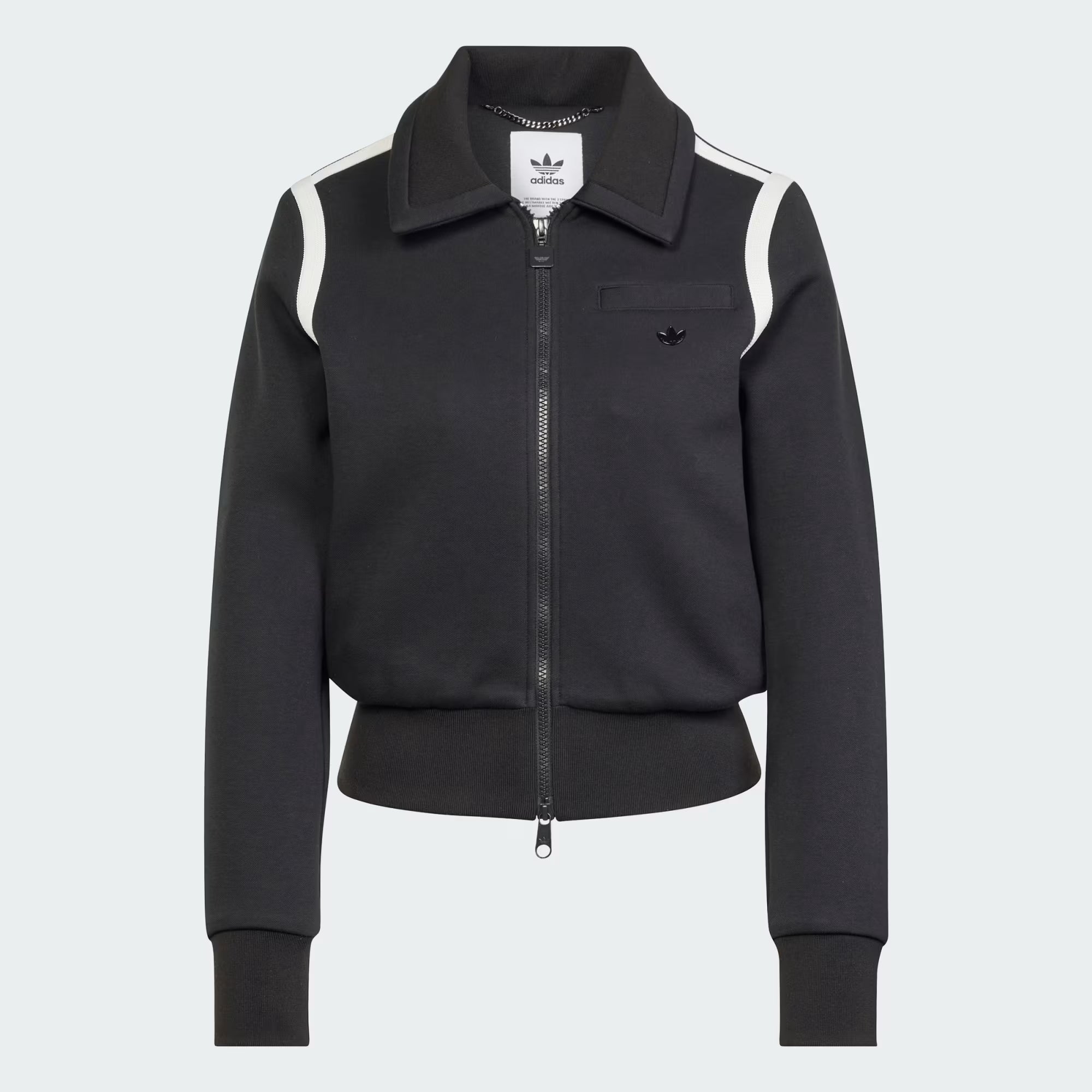 Collared Track-Kikonat