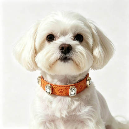 Pet Dog Paw Print Rhinestone Collar detail 5