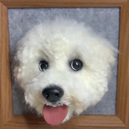 Custom Pet Portraits Frame detail 5
