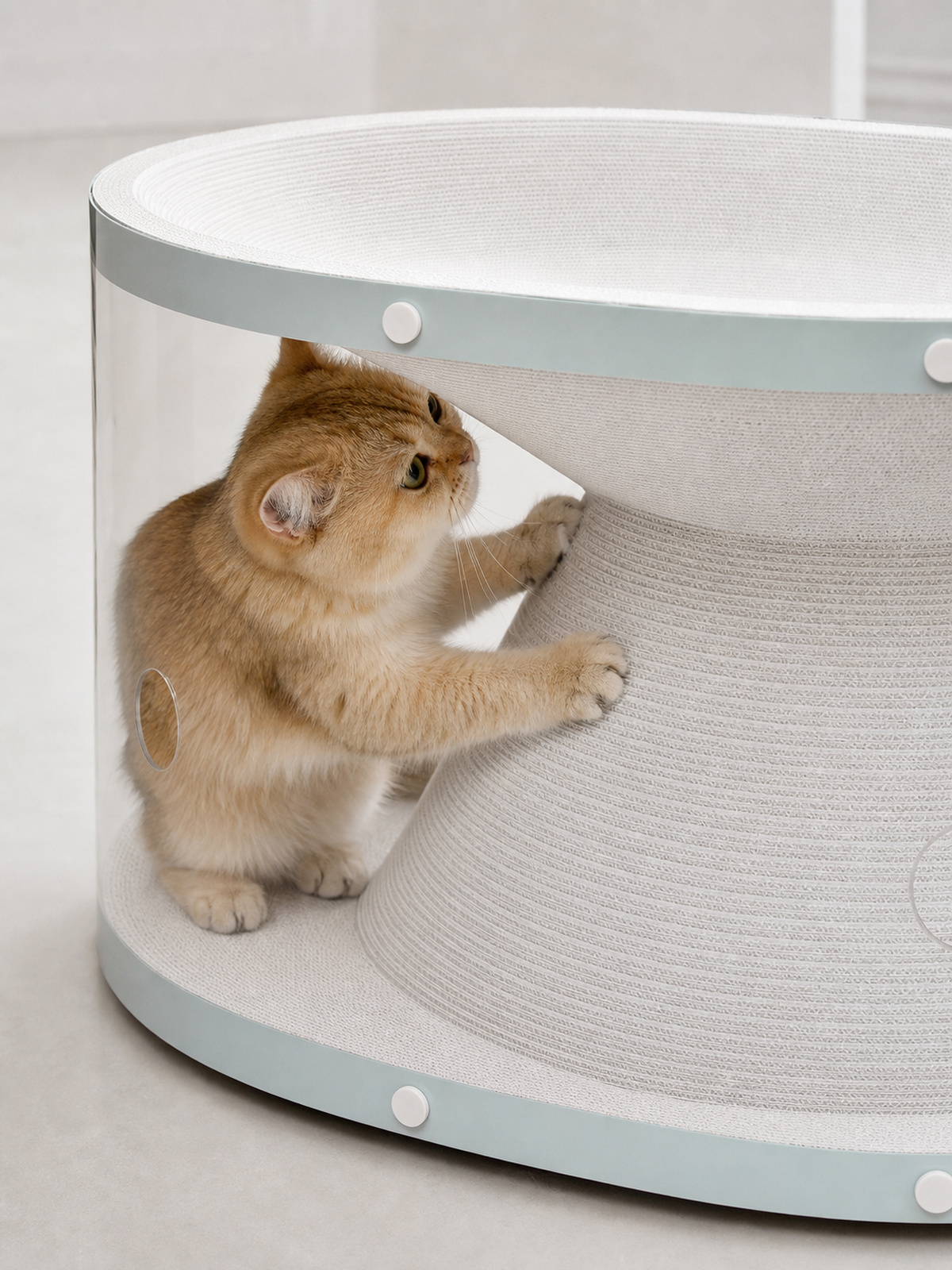 Cat scratching the curved corrugated center structure