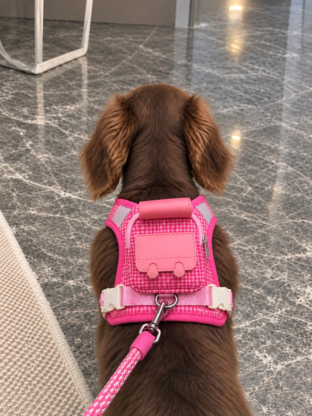 Adventure Ready
