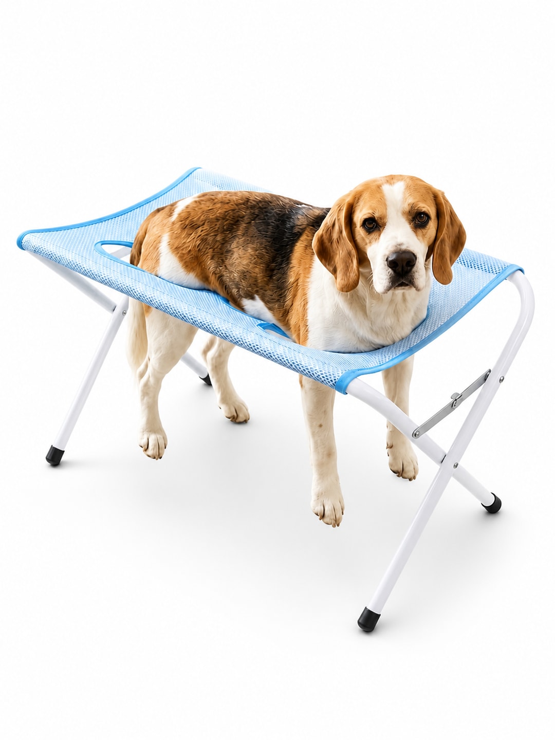 Dog using the blue Havomi pet bathing support stand on a white background