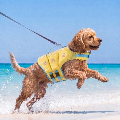 Yellow Cartoon Havomi AquaLift dog life jacket, size XL