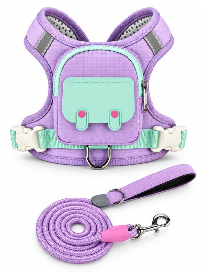 Havomi PocketFit backpack dog harness and leash in purple