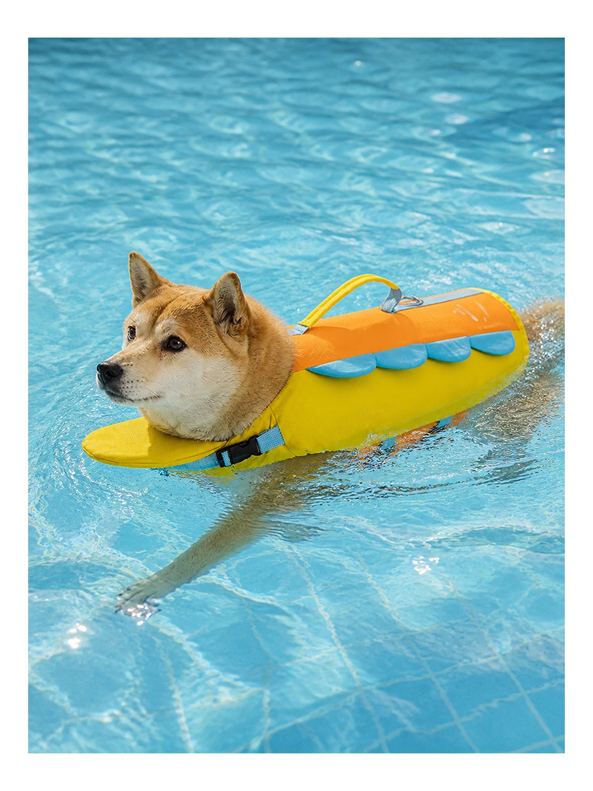 Dog swimming in a yellow Havomi AquaLift life jacket