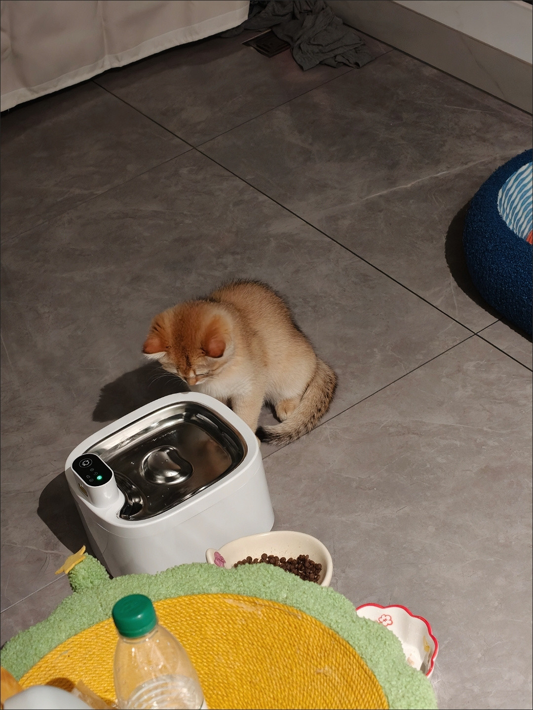 Havomi AquaFlow Cordless Stainless Steel Pet Fountain - product image 5