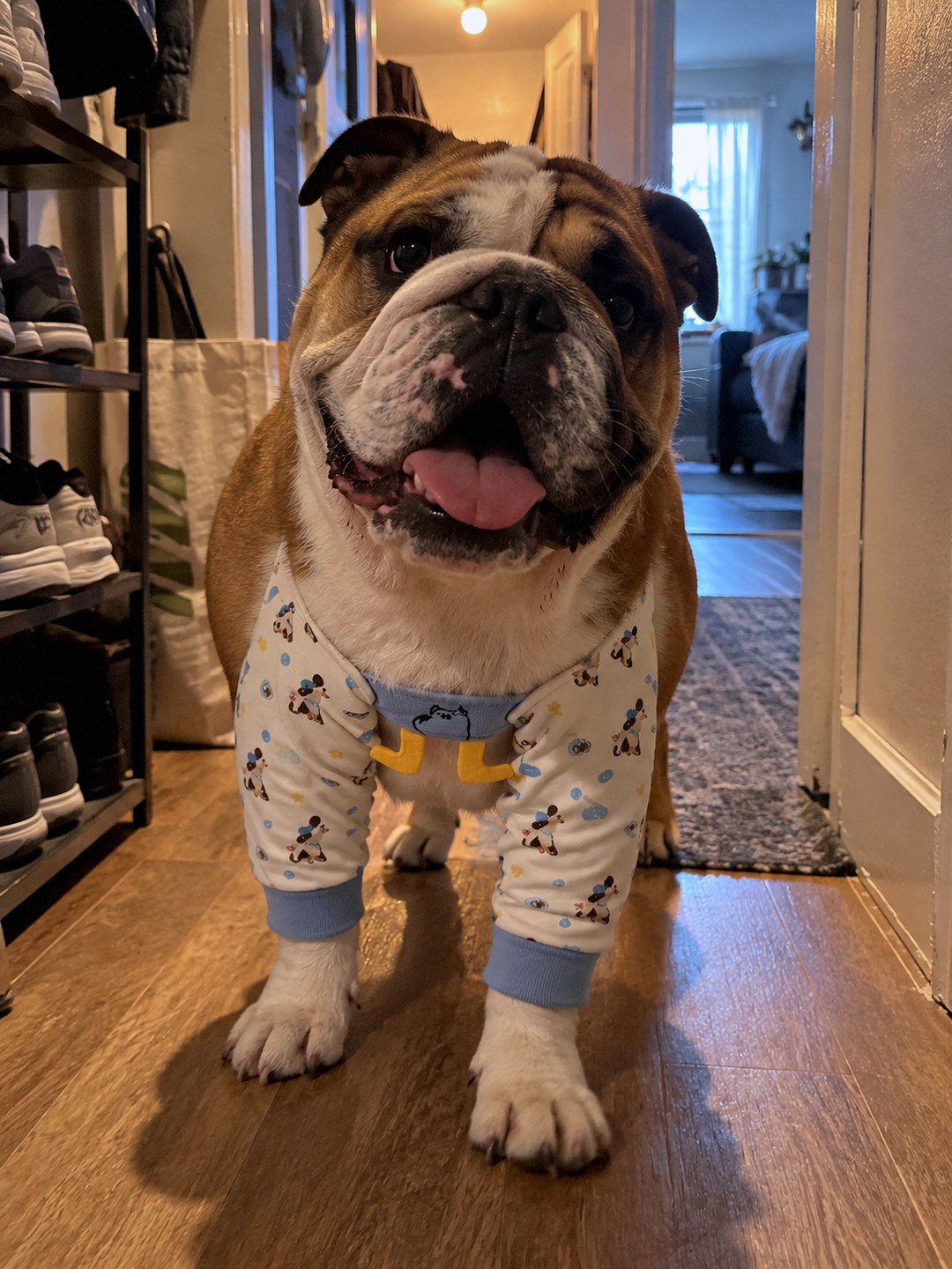 Customer photo