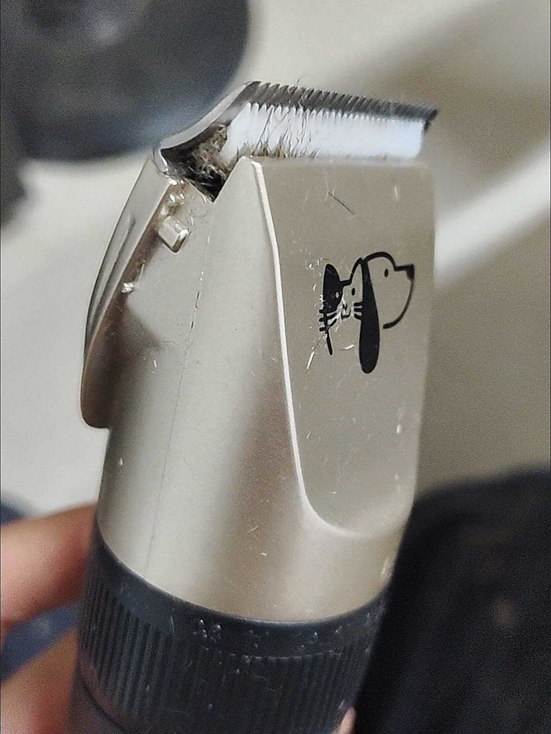 Customer photo