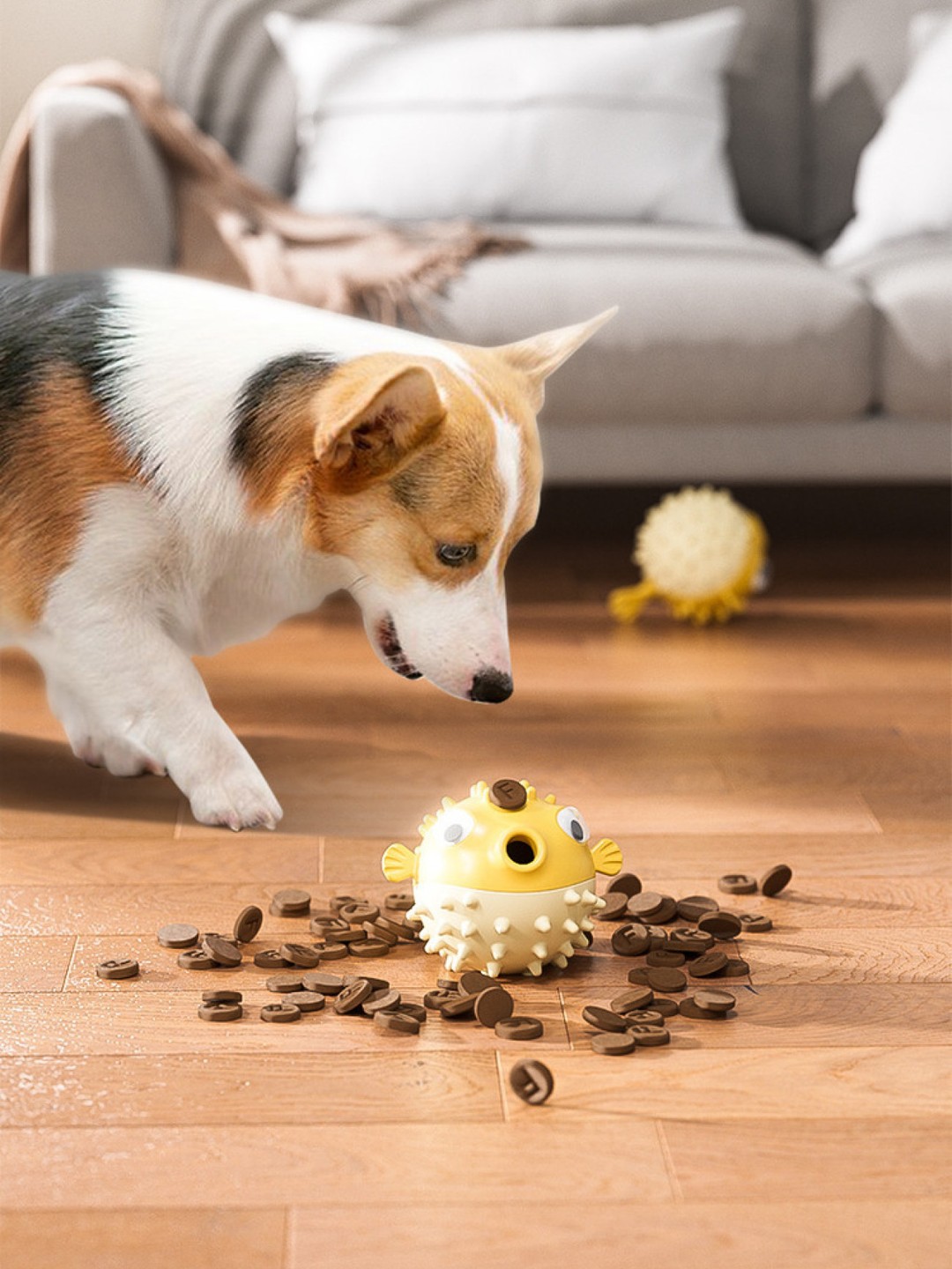 Treat-Dispensing Play