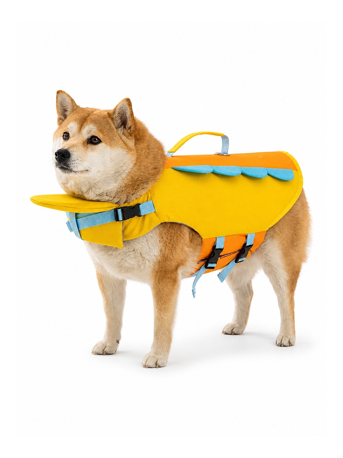 Yellow Havomi AquaLift dog life jacket on a Shiba Inu against white