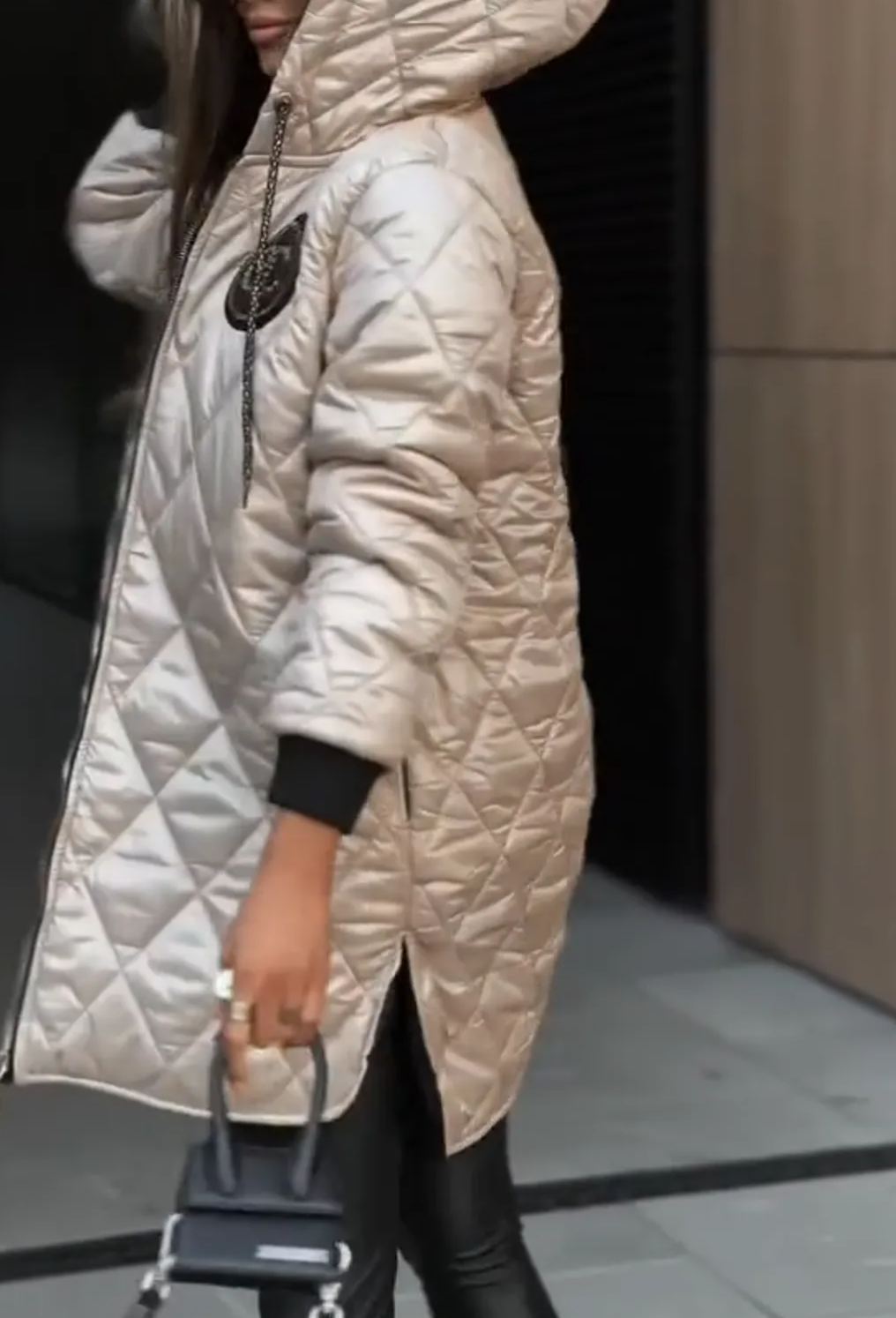 [Copy]Black Hooded Puffer Jacket