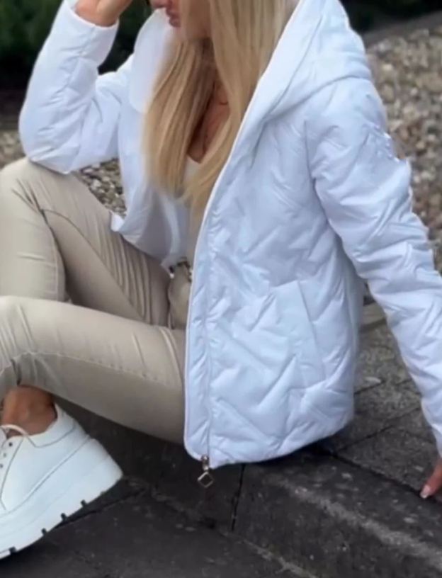 [Copy]Taupe Long Quilted Puffer Coat with Hood