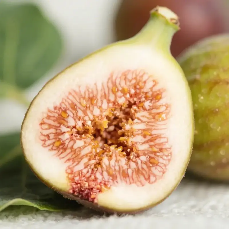 Winter Fast Growing 200 Pieces Fig Tree Seeds For Garden 