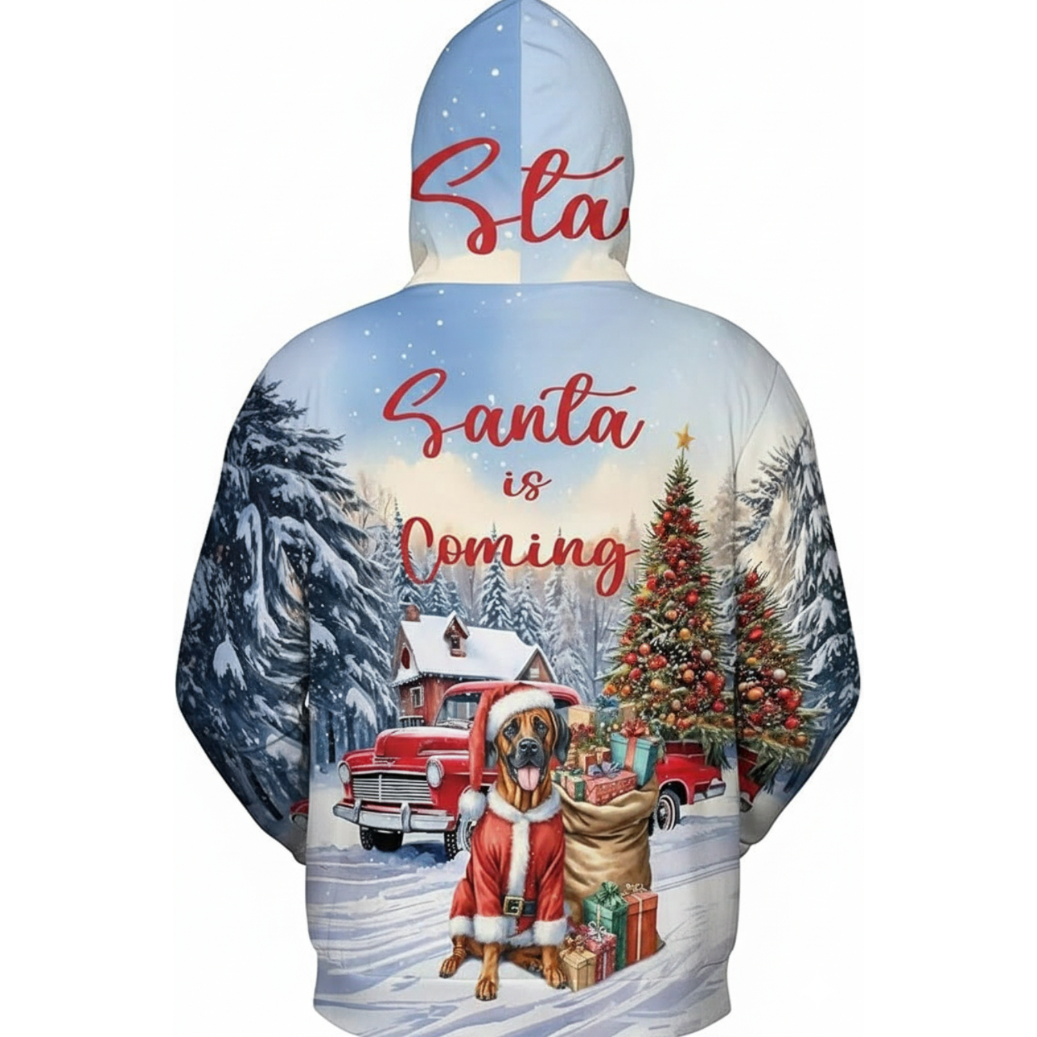 Santa Christmas Hoodie