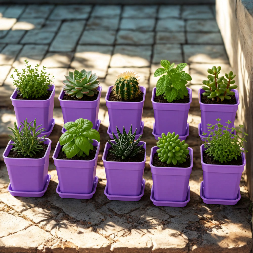 Mini Square Plant Pots With Trays 20 Piece Set For Succulents And Herbs