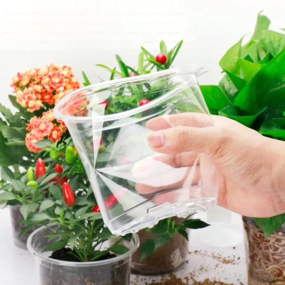 Pack Of 36 Transparent Nursery Plant Pots With Drainage Holes