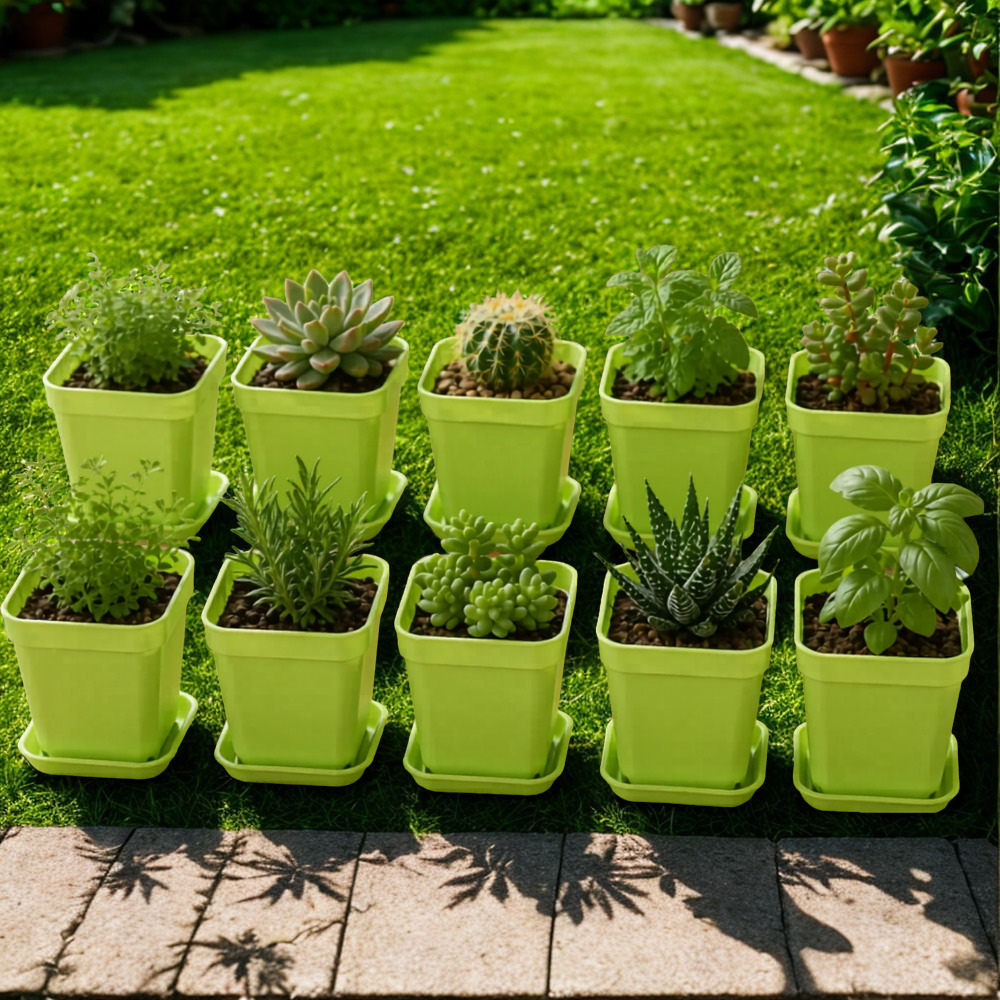 Mini Square Plant Pots With Trays 20 Piece Set For Succulents And Herbs