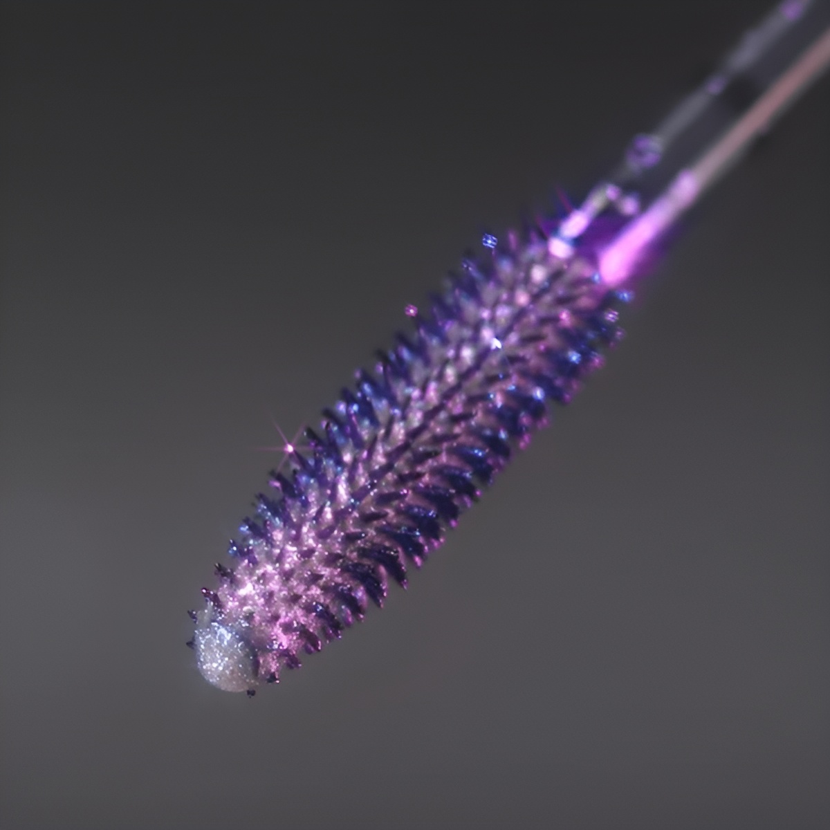 Vibrant Mascara For Stunning Lashes And Colour