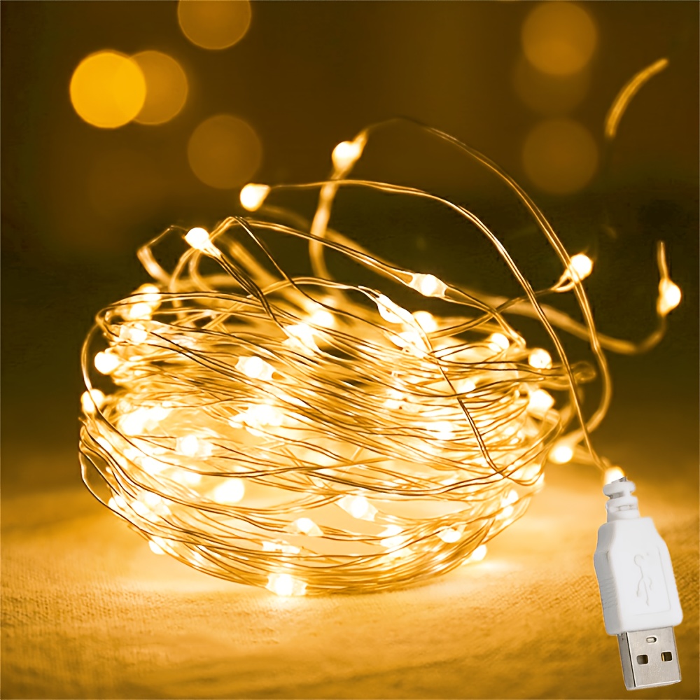 Micro LED Fairy String Lights with Flexible Wire for Indoor and Holiday Decoration
