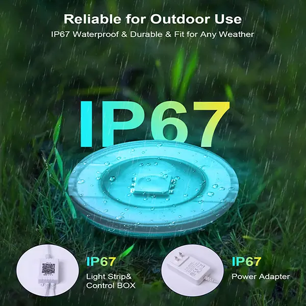 Smart Permanent Outdoor Christmas Eave Lights with App and Remote Control
