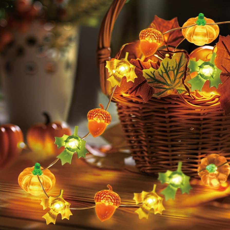 Mushroom Fairy Lights 10FT 30 LED Battery Operated String Lights for Room Decor