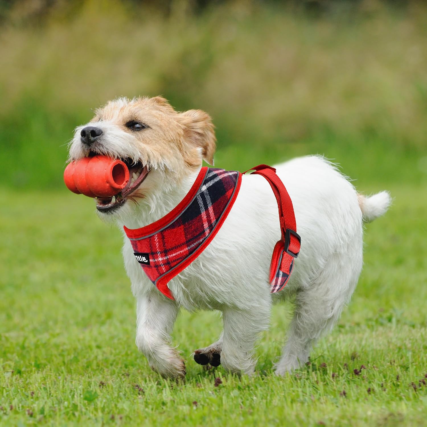 Christmas Themed No Pull Reflective Mesh Dog Harness
