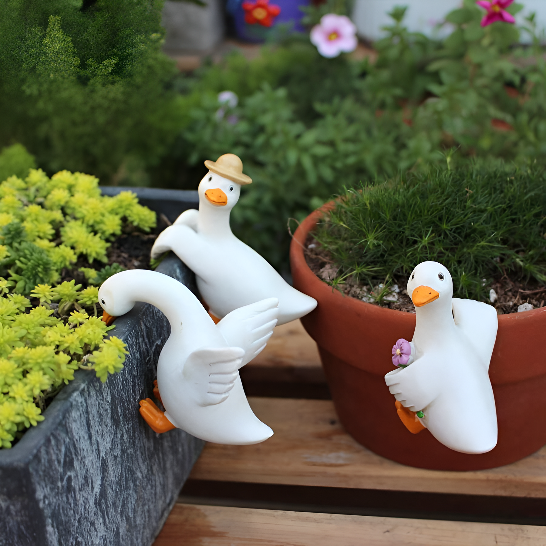 Cute Climbing Duck Flower Pot Pendant 3 Pieces Set